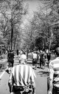 idyllischer Weg zum Stadion