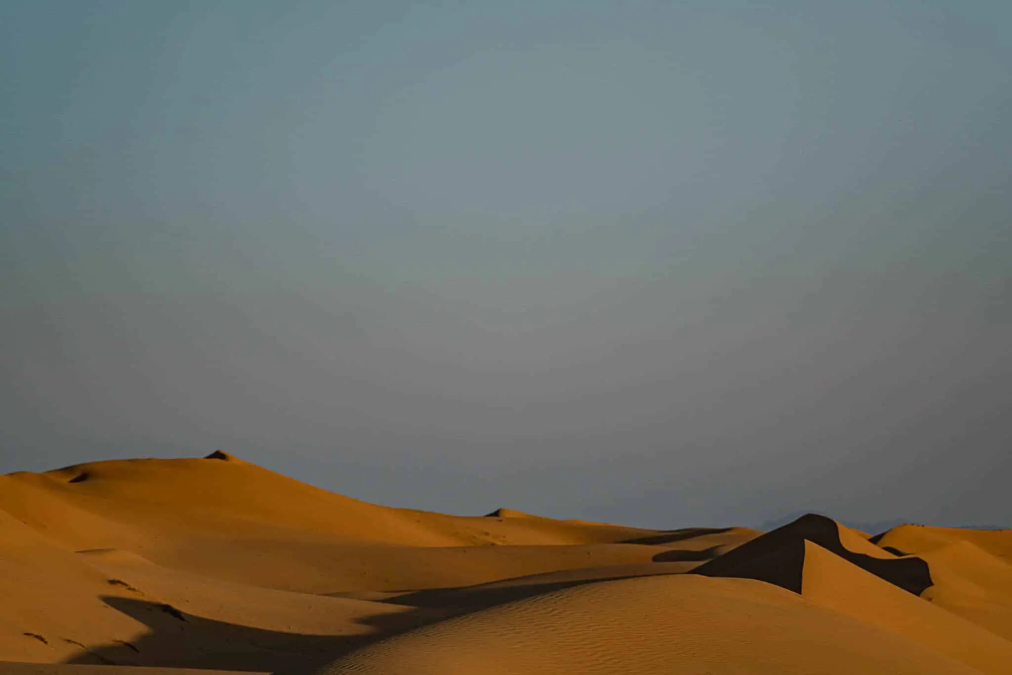Dune landscape from Wahiba Sands